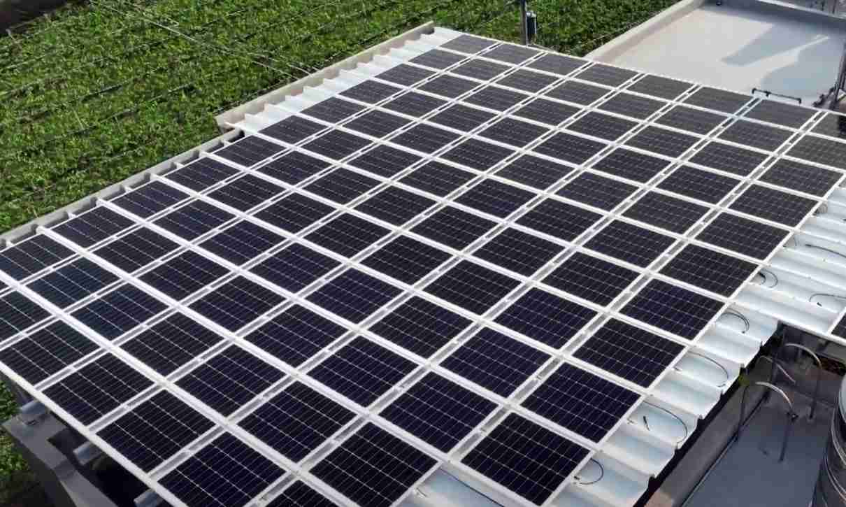 william威廉中文官网SunSteel光电浪板升级双玻结构，，，以提升机械负载强度及气候耐候度，，，可广泛运用于多元场域