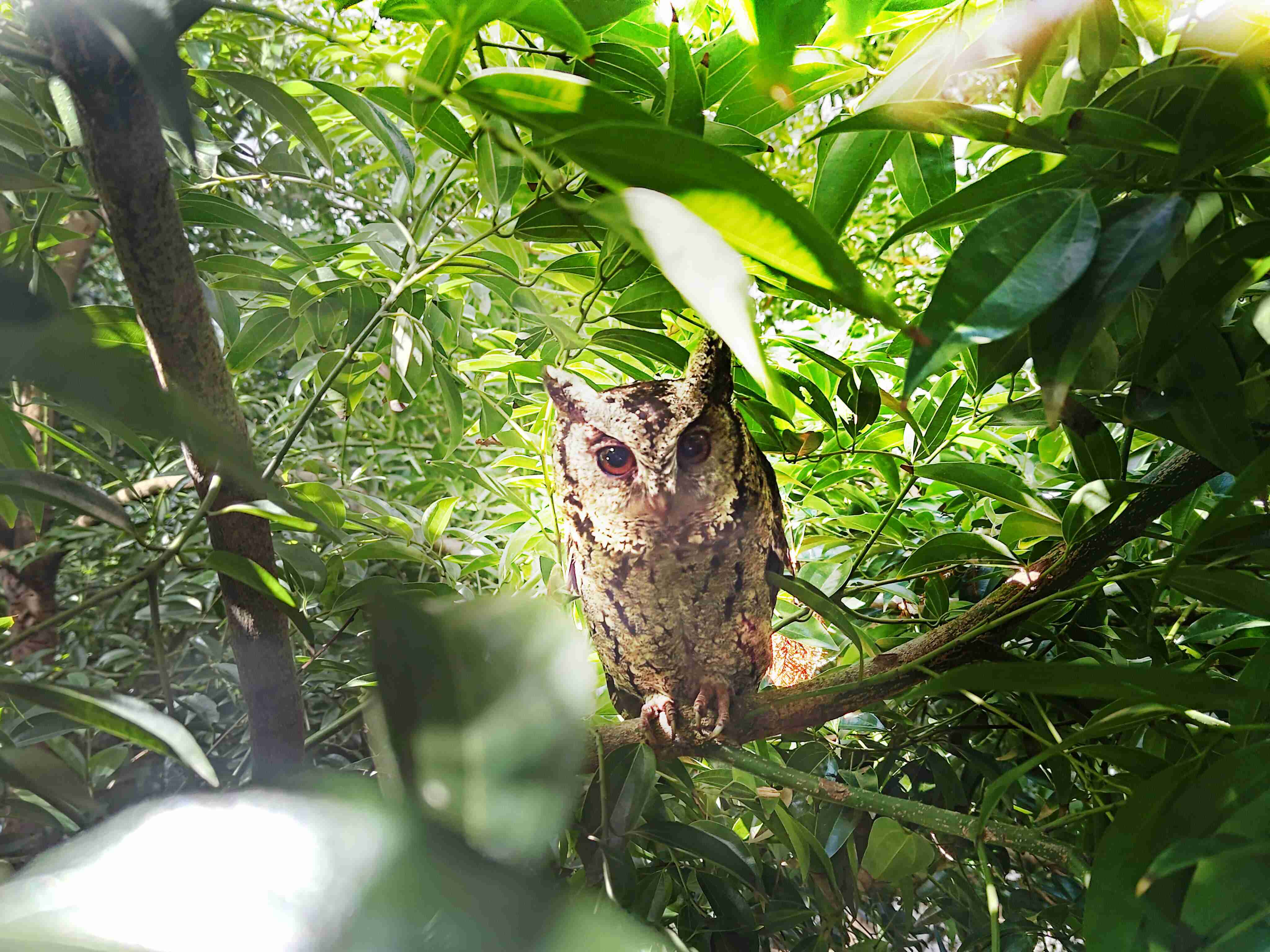 william威廉中文官网致力提倡净零绿生活，，，，16年以来在全球各厂区植树逾百万棵，，，，造就各厂区树木蔚然成林，，犹如森林工厂，，成为许多生物的栖息地